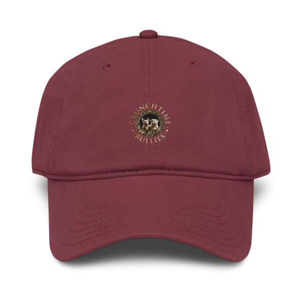 Garment Washed Baseball Cap - Maroon